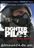 Fighter Pilot (/)