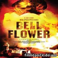 Bellflower (/)