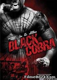 Black Cobra (/)